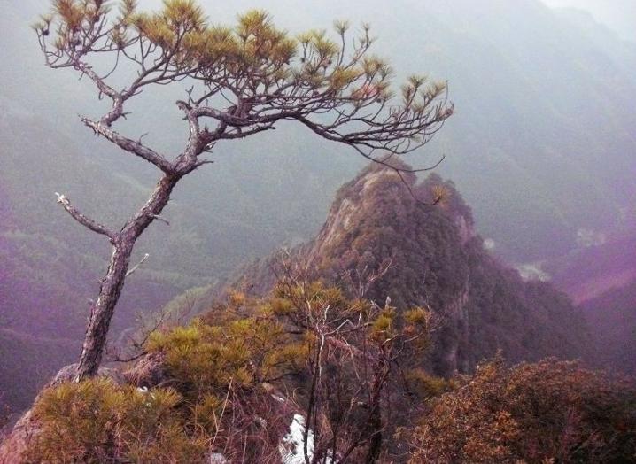 衢州大路里古山寨探险概述