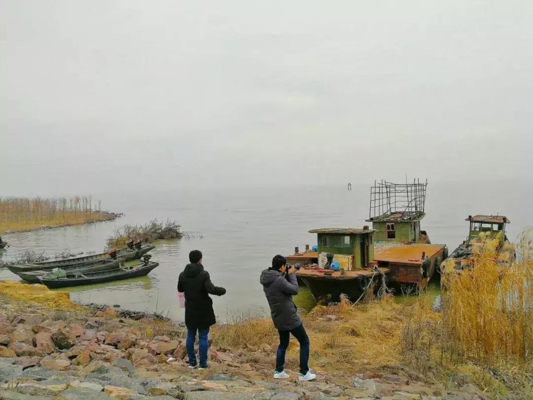 巢湖这条街火了，安徽大V纷纷打Call，登顶头条，刷编网络~