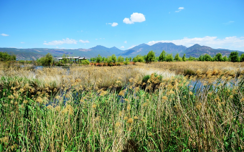 诗和远方虽美，路上却有避之不及的黑魔法！