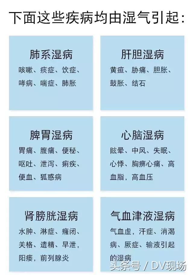 体内湿气不除，百病缠身！每天吃点它，一招轻松祛湿，全家适用~