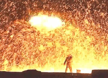 这种花！全国仅有，而且只在春节绽放，比烟花好看100倍！