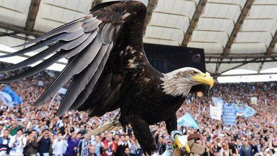 莱比锡新球衣,莱比锡22-23黑色球衣