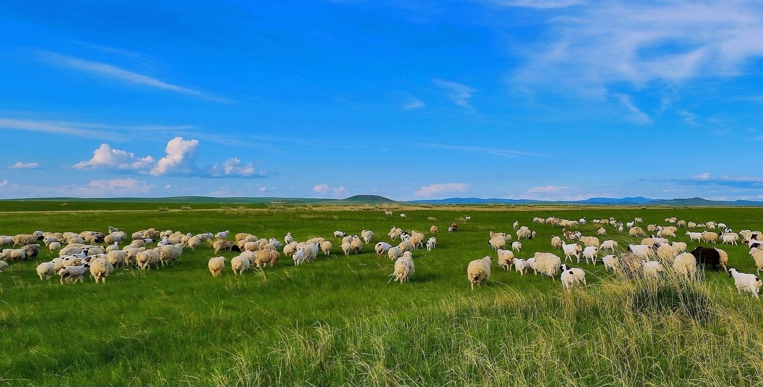 羊肉串怎么烤好吃窍门,羊肉串怎么烤才能软嫩多汁