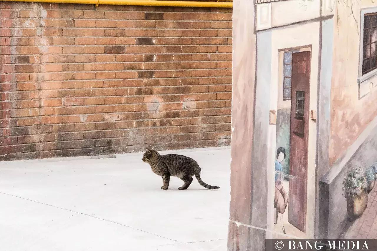 上海最清净的地方,上海最清净的去处