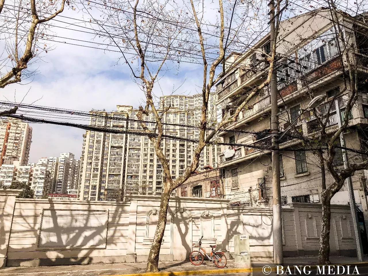 上海最清净的地方,上海最清净的去处