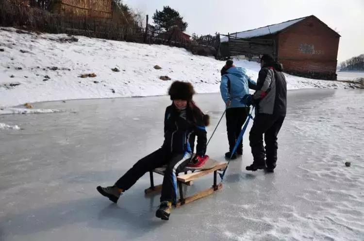 这种花！全国仅有，而且只在春节绽放，比烟花好看100倍！