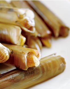 过年回家带海鲜怎么带,过年送海鲜干货怎么样