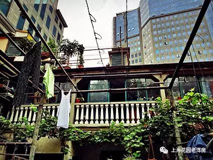 老上海爱情故事,老上海的爱恨情仇