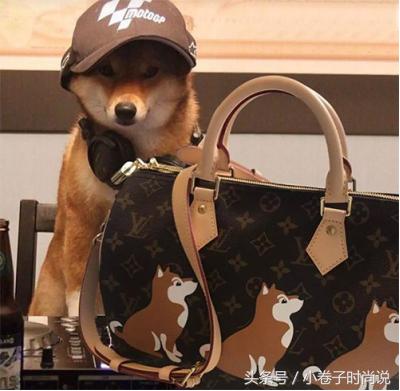 奢侈品牌猴年限量版,各大牌狗年限定