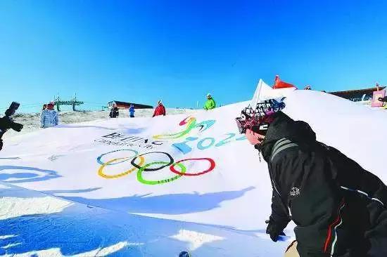 这种花！全国仅有，而且只在春节绽放，比烟花好看100倍！