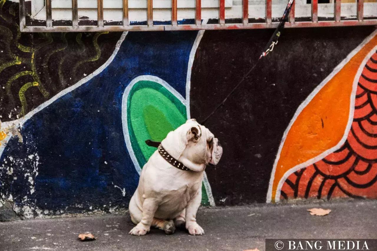 上海最清净的地方,上海最清净的去处