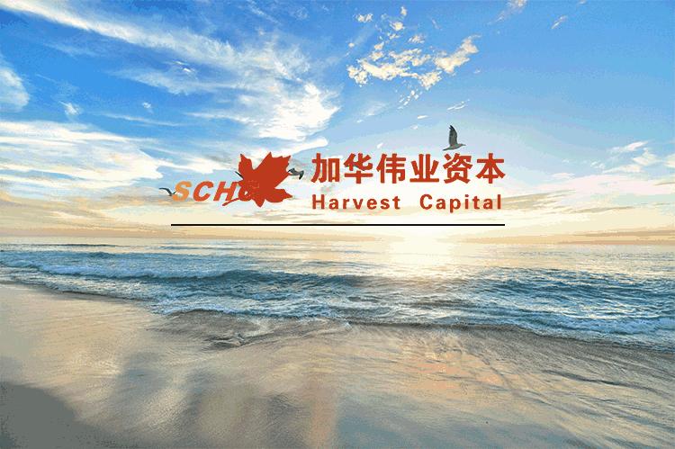 世界杯与消费,世界杯体育消费