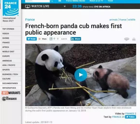 我国国宝大熊猫被外国租借有多难,日本大熊猫悲惨生活