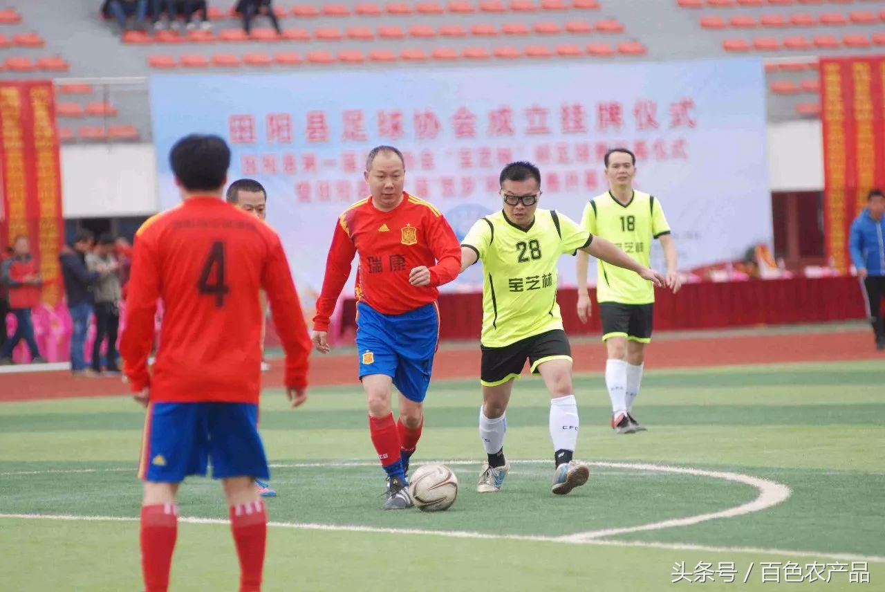 田阳足球队,田阳足球