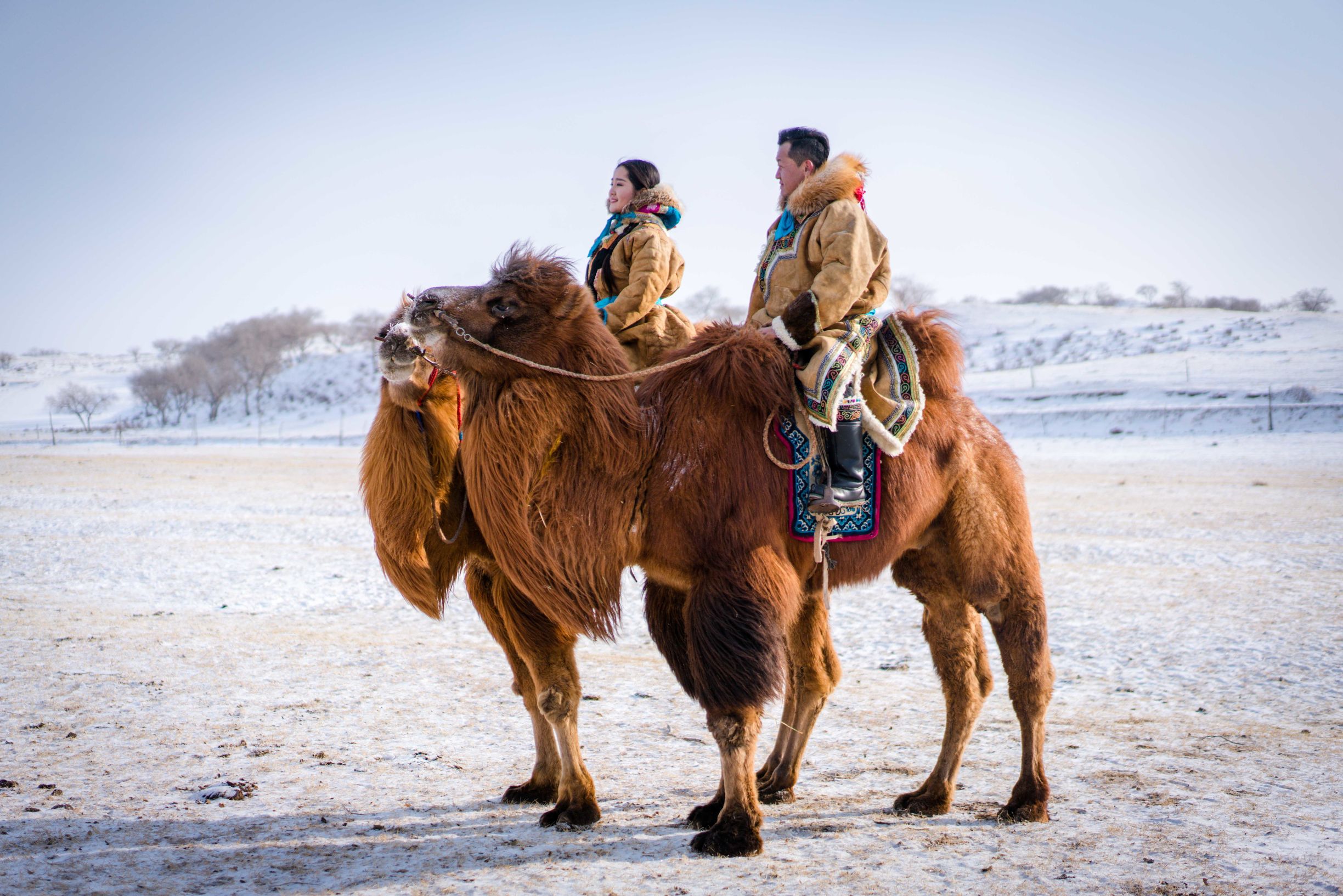 冰雪那达慕大会,冰雪那达慕完整版开幕式
