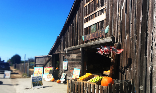 美国订酒店怎么订,老司机旅游攻略