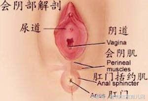 生产时，自然撕裂和侧切有什么不同？哪个恢复更快，该如何选择？