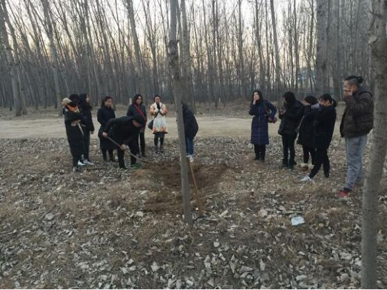 才出生小狗被咬死,出生的小狗被虐待