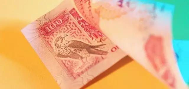 支票怎么讲解,支票使用的基本流程