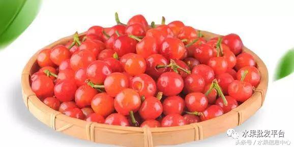 西瓜为什么是北瓜,为什么西瓜叫西瓜不叫绿瓜