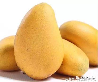 西瓜为什么是北瓜,为什么西瓜叫西瓜不叫绿瓜