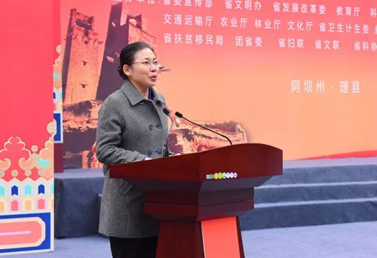 文化科技卫生三下乡专项实践活动,2019年驿城区文化卫生科技三下乡