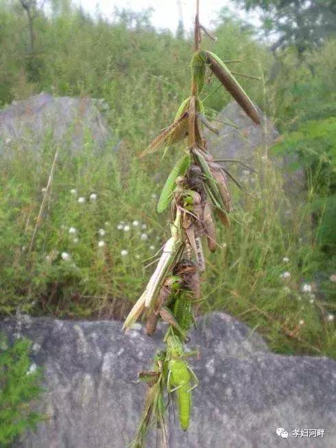 冬天里的思念原唱,冬天里暖心的思念