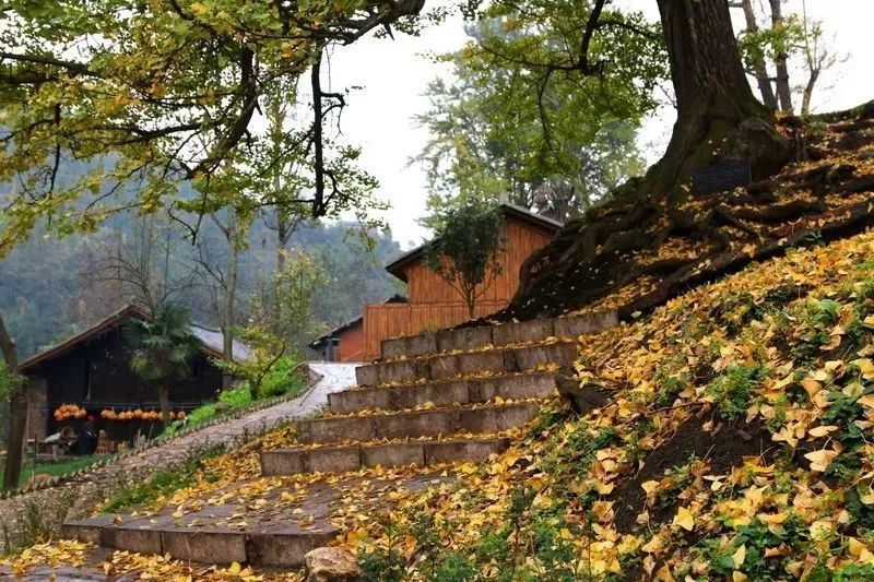 错过了这30个地方，你就相当于辜负了整个贵州！