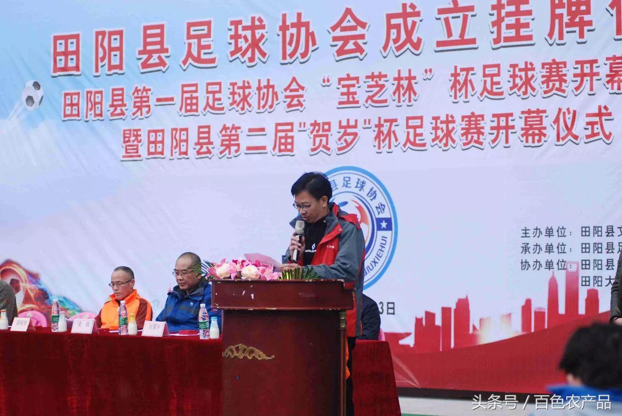 田阳足球队,田阳足球