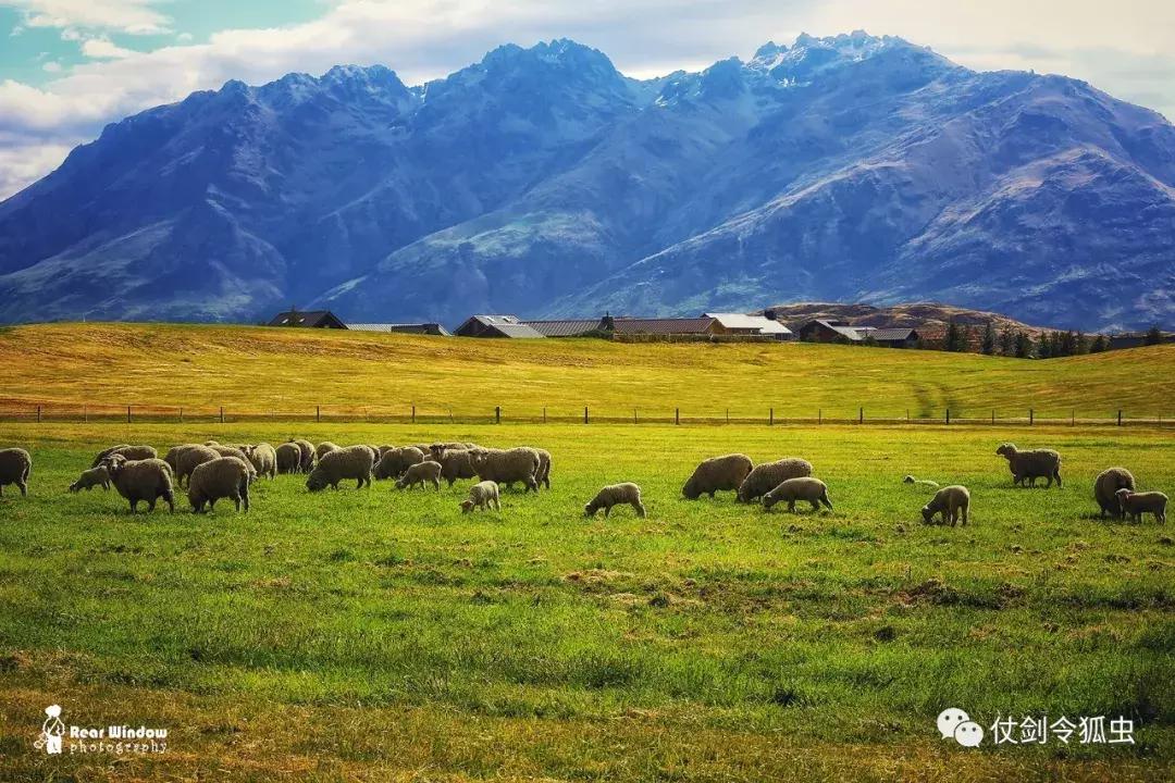 手机上有什么软件能p好图,手机制作奖状p图软件