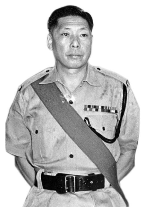 蓝洁瑛被性侵事件是哪年,蓝洁瑛性侵事件发生时间