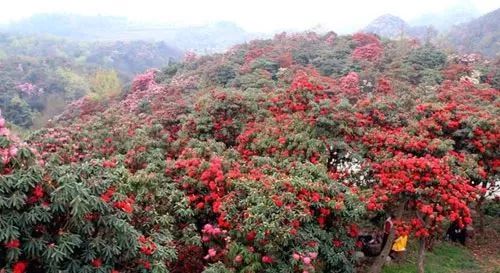 错过了这30个地方，你就相当于辜负了整个贵州！