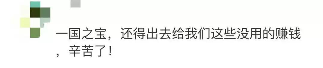 我国国宝大熊猫被外国租借有多难,日本大熊猫悲惨生活