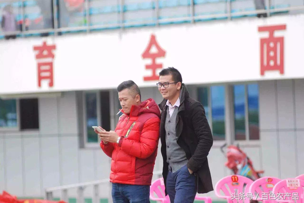 田阳足球队,田阳足球