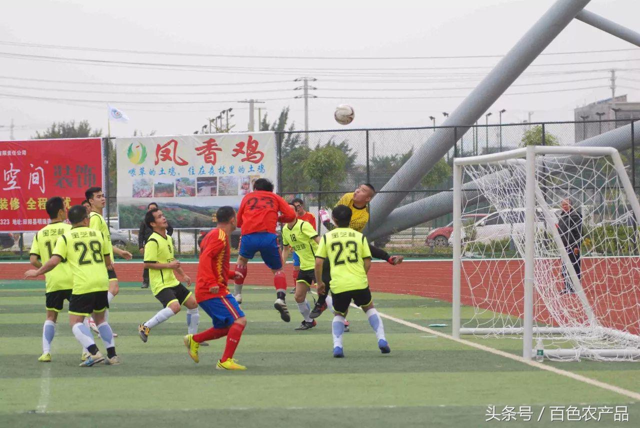 田阳足球队,田阳足球