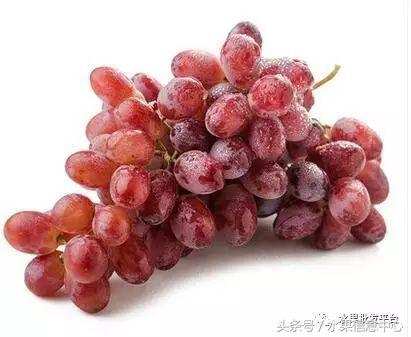 西瓜为什么是北瓜,为什么西瓜叫西瓜不叫绿瓜