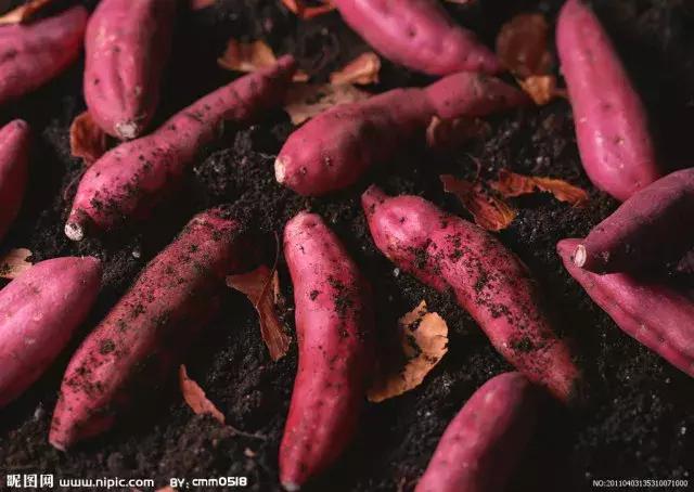 年味儿发酵！藏龙镇年货节即将开幕！