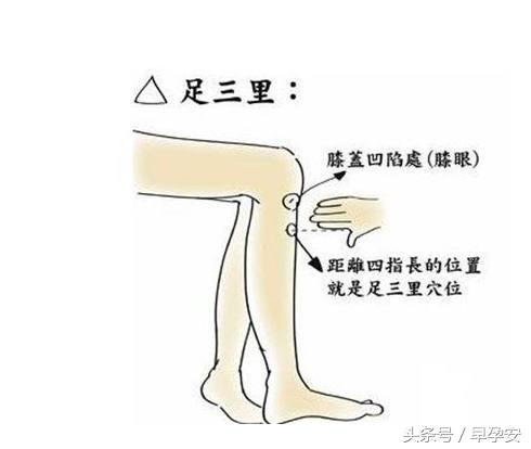 孕妇呕吐怎么办有什么方法治孕吐,缓解孕吐剧吐的有效方法