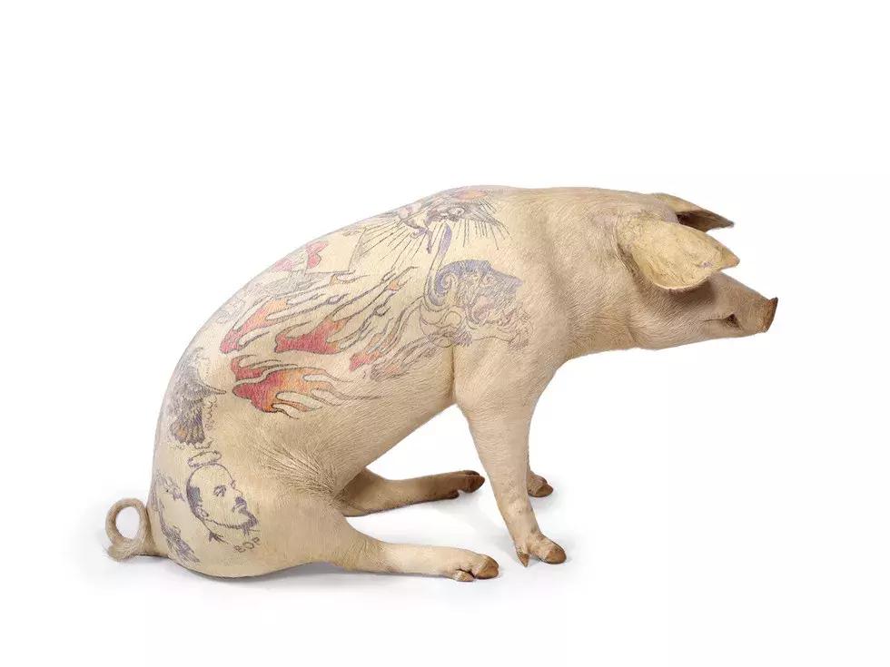 世界上最疯狂的纹身,十大疯狂纹身