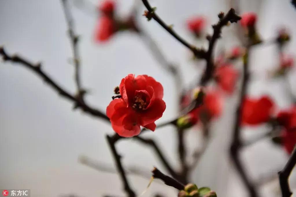 从寒冬逛到初春，北京25家历史名园，你都去过吗？