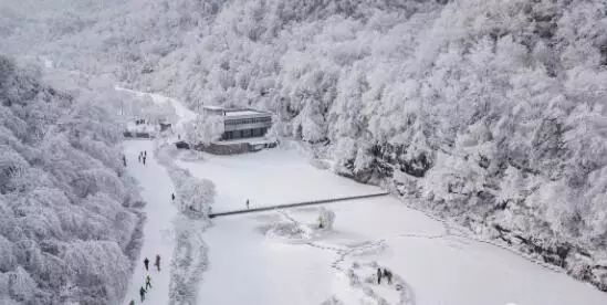 寒气席卷、叶汽成霜……陕西6处大美雾凇奇景上线！