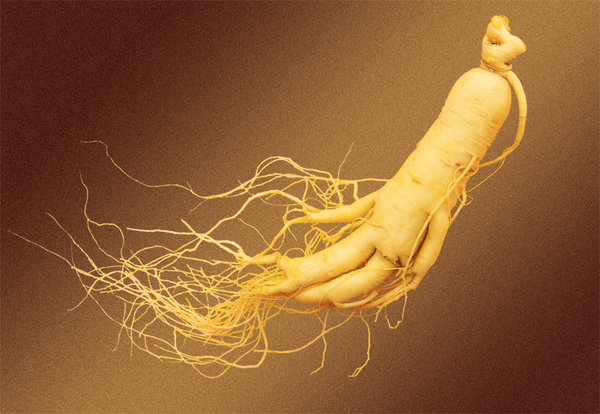 延边朝鲜族十大特产 (吉林延边朝鲜族自治州有什么特产)