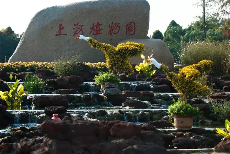 上海星级公园名单火热出炉,上海有什么5a级公园