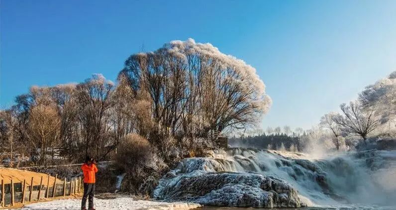 寒气席卷、叶汽成霜……陕西6处大美雾凇奇景上线！