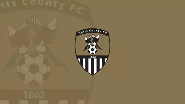 海鸥老鹰大雁,海鸥老鹰孔雀