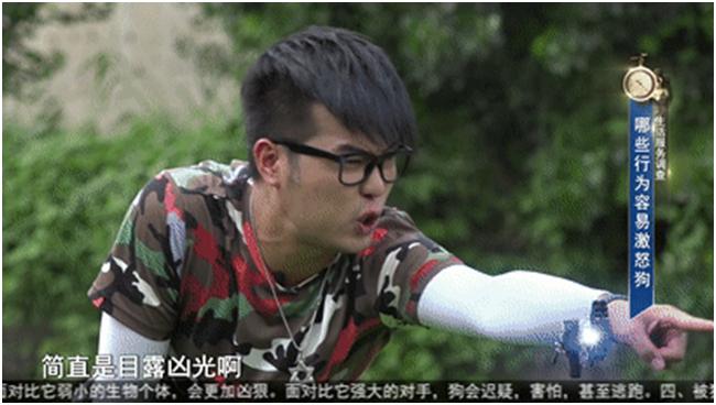 男童遭7只恶犬撕咬,小男孩被三条恶犬咬目前情况