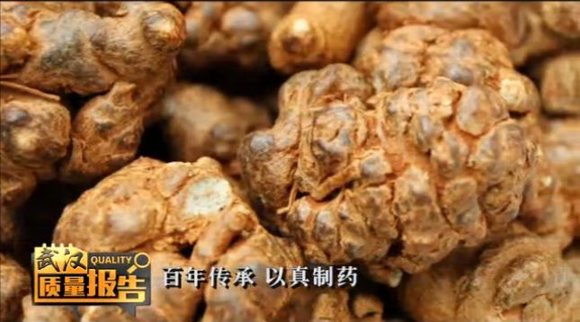 马应龙全面质量管理,武汉马应龙质量管理