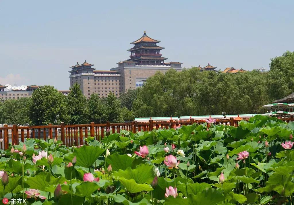 从寒冬逛到初春，北京25家历史名园，你都去过吗？