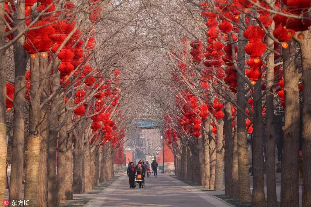 从寒冬逛到初春，北京25家历史名园，你都去过吗？