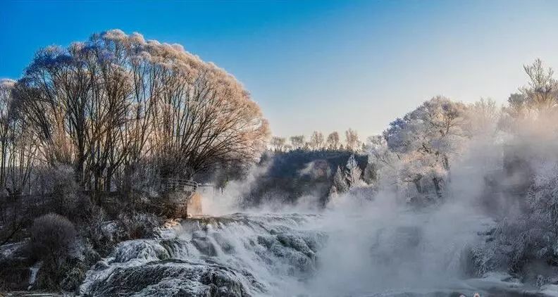 寒气席卷、叶汽成霜……陕西6处大美雾凇奇景上线！